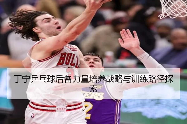 丁宁乒乓球后备力量培养战略与训练路径探索